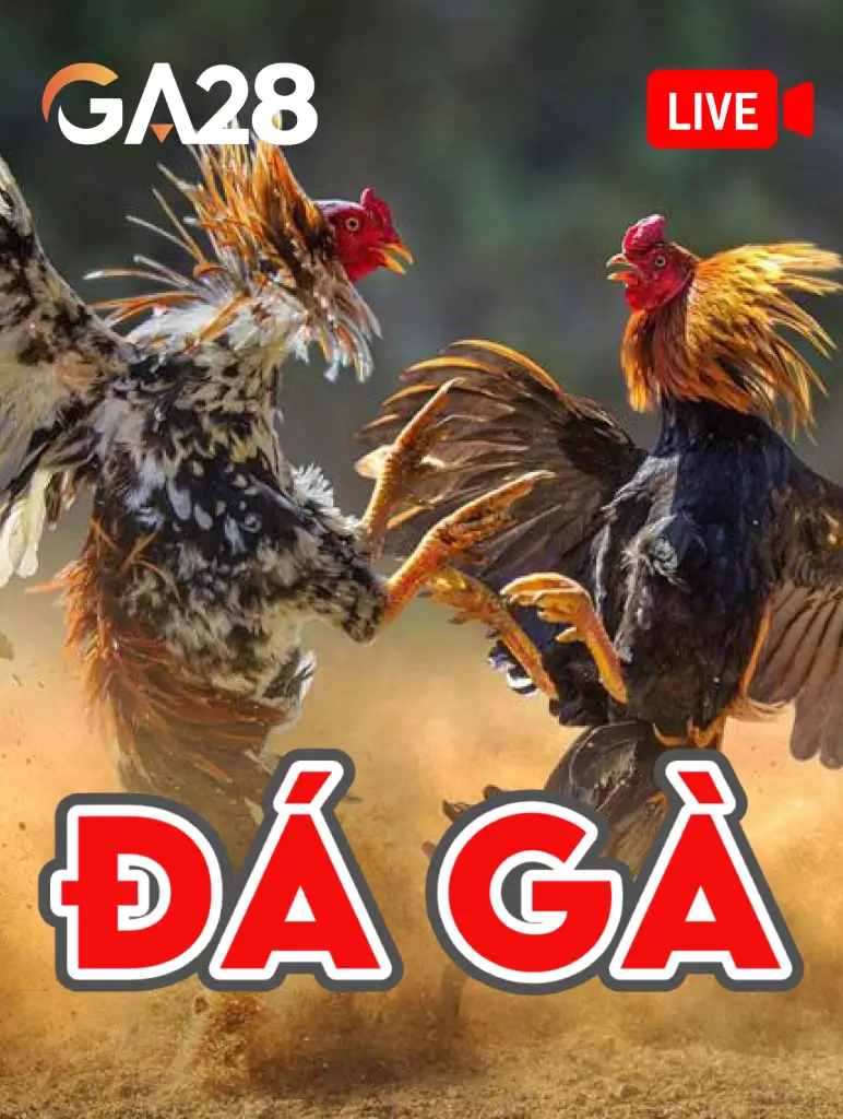 DE88 Đá Gà GA28
