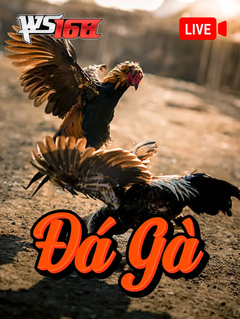 DE88 Đá Gà WS168