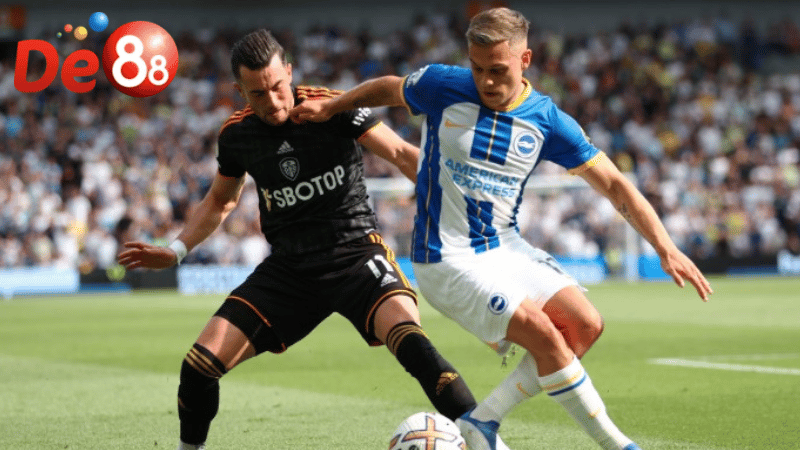 Sức mạnh và phong độ của Brighton vs Leeds United