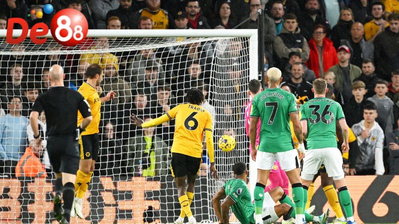 Đội hình dự kiến Wolves vs Newcastle 21h00 ngày 18/01/2026